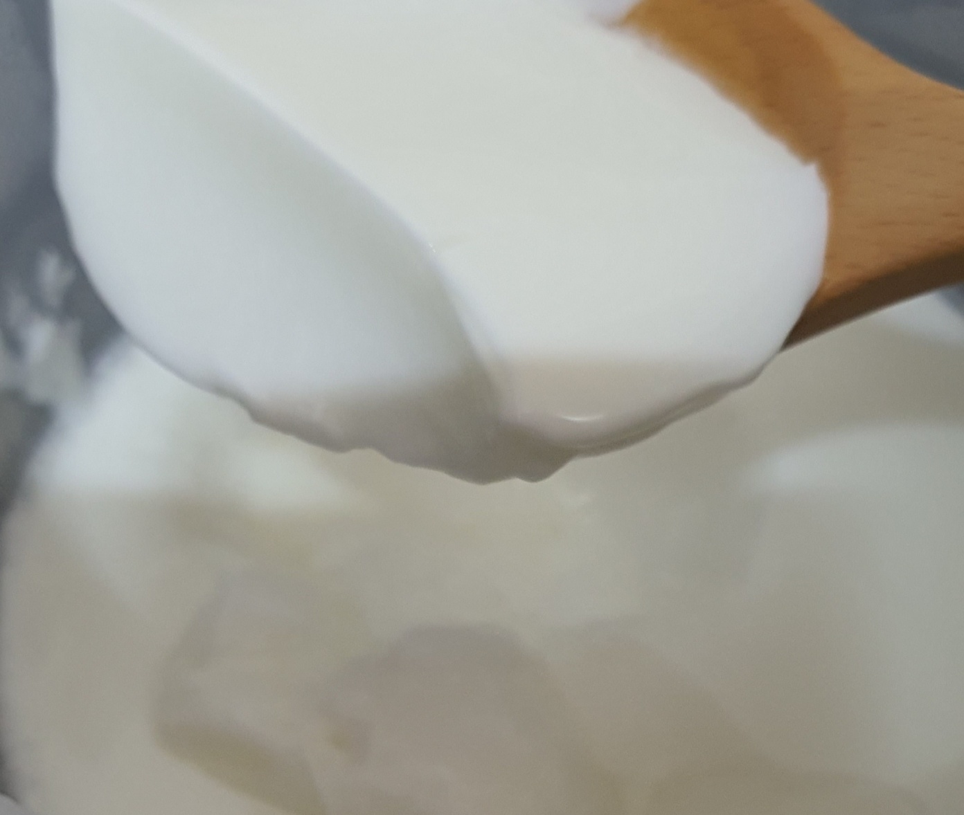 밥솥 발효기능으로 발효된 요거트