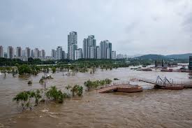 풍수피해지원금 놓치기 전에 반드시 알아야 할 신고부터 청구까지 핵심정리 관련사진
