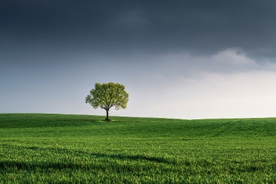 저공해차 스티커 발급