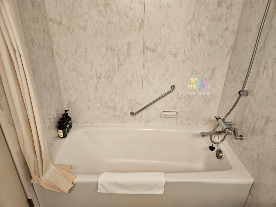 아나 크라운 플라자 도야마 호텔 더블 프리미엄 룸 투숙후기