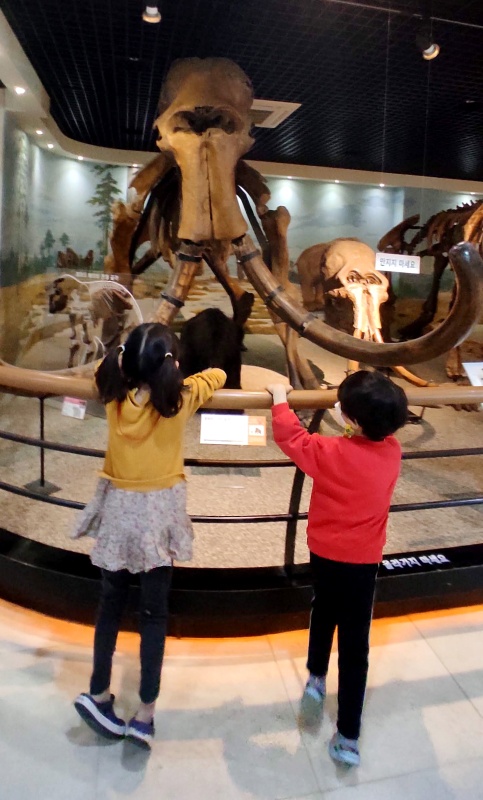 마머드를 구경중인 아이들