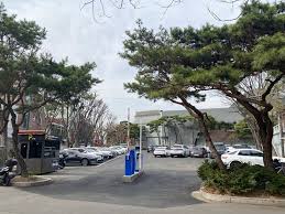 청화대 관람 인근 주차장 정보