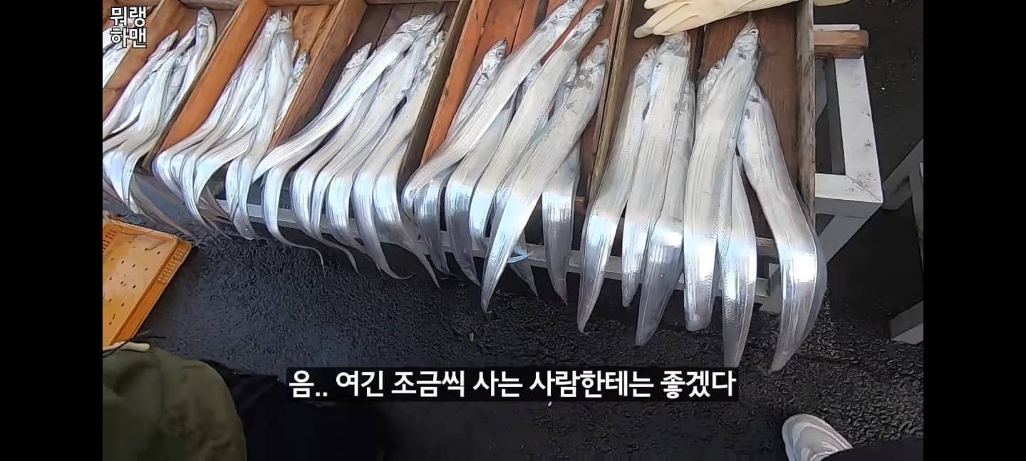 갈치 싸게 사는 방법