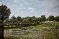 아이와 가평 가볼만한곳 추천 자라섬