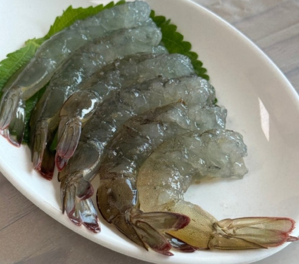 6시내고향-홍성-죽도-대하-현일민박