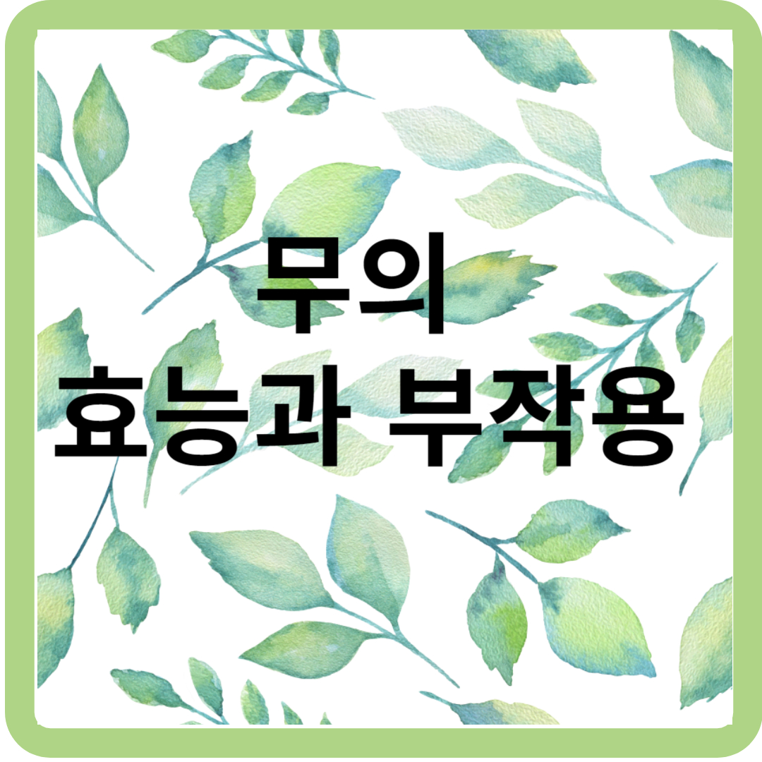 무의 효능