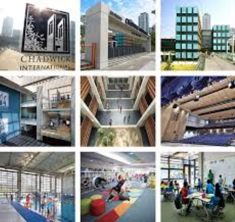 인천 송도 채드윅 관련 이미지