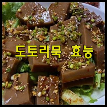도토리묵 효능