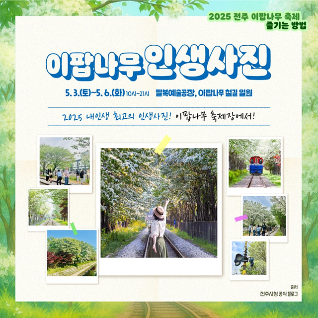 전주 이팝나무축제 정보 철길 개방