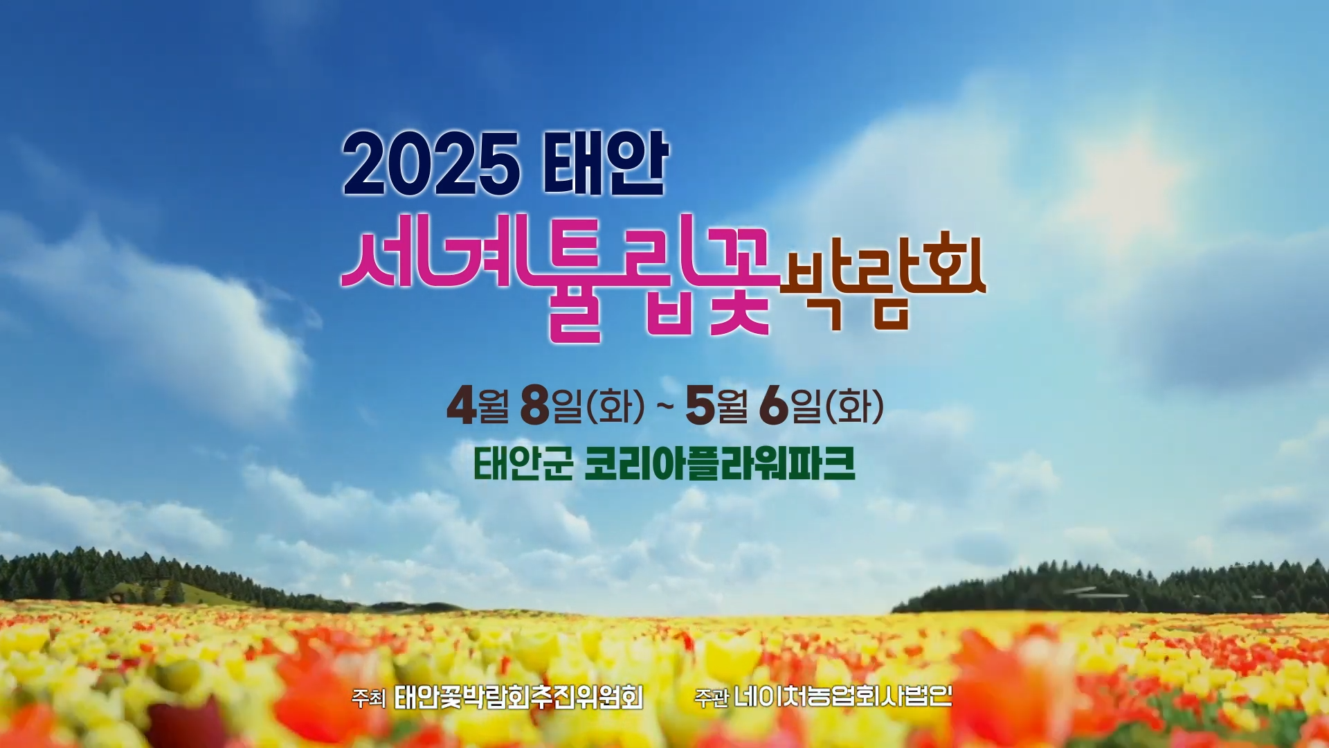 2025 태안 세계튤립꽃박람회