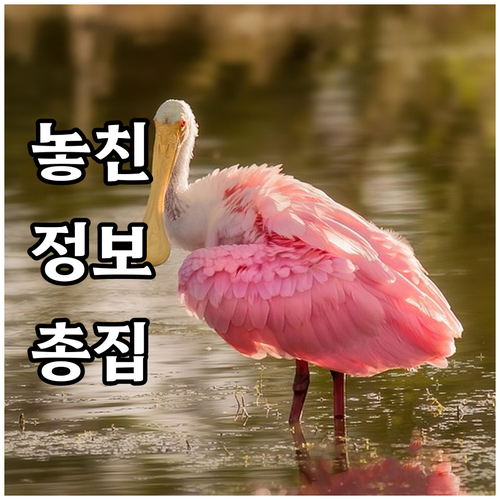 2025 임산물 사업 경쟁력 강화 2..