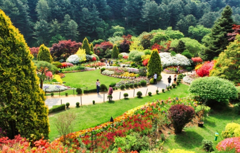 자연속 힐링! 가평&양평 아이랑 가기 좋은곳 BEST 5 관련 사진