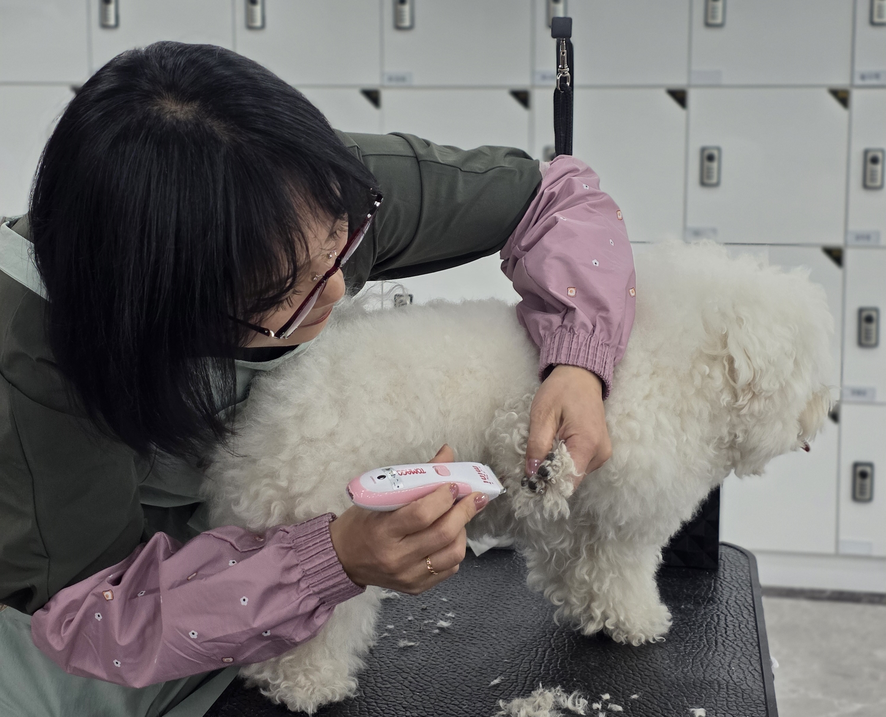병점애견미용학원