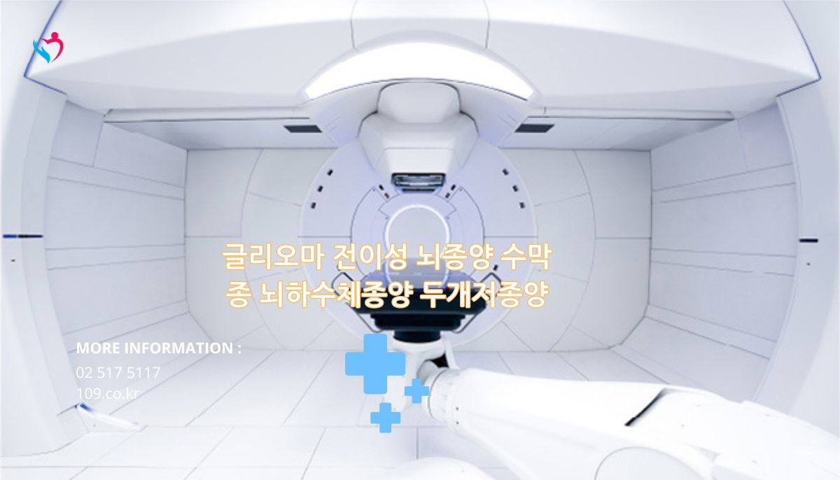 글리오마 전이성 뇌종양 수막종 뇌하수체종양 두개저종양