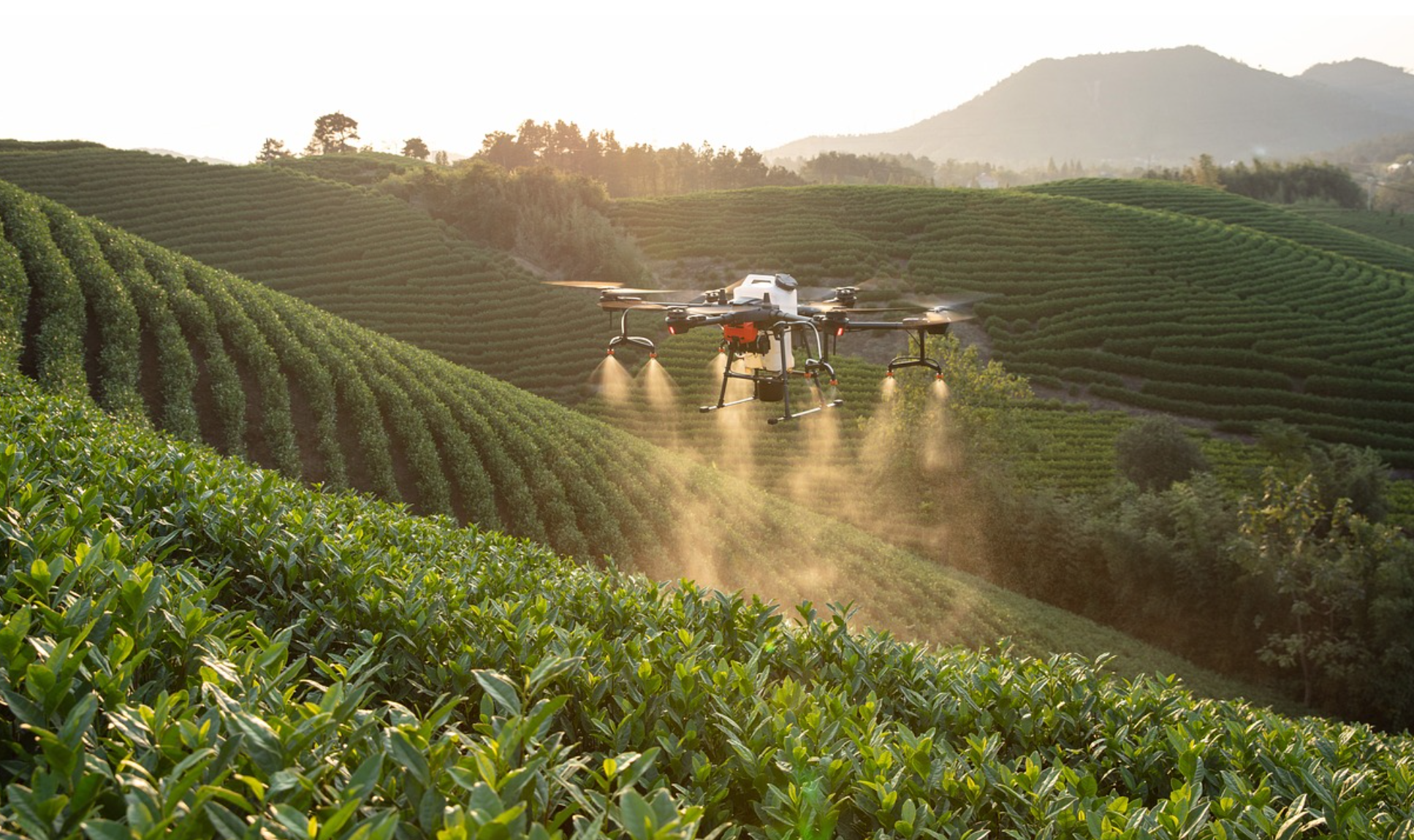 📌 드론과 AI: 스마트 농업의 새로운 혁명명
