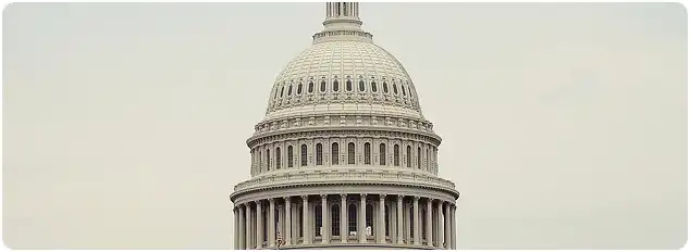 미국 대선 2024 개표 결과 발표 실시간 보기