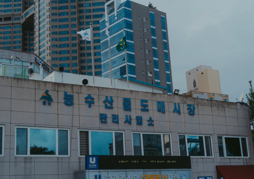 울산 농수산물도매시장 이전 백지화