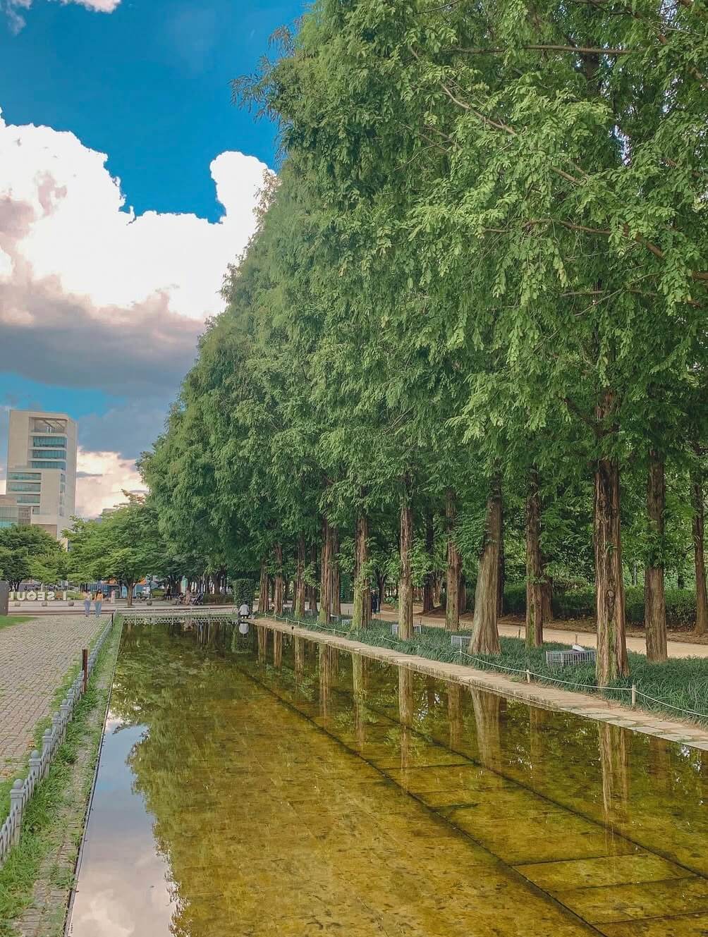 2025 서울숲 튤립 구경 가이드 관련사진