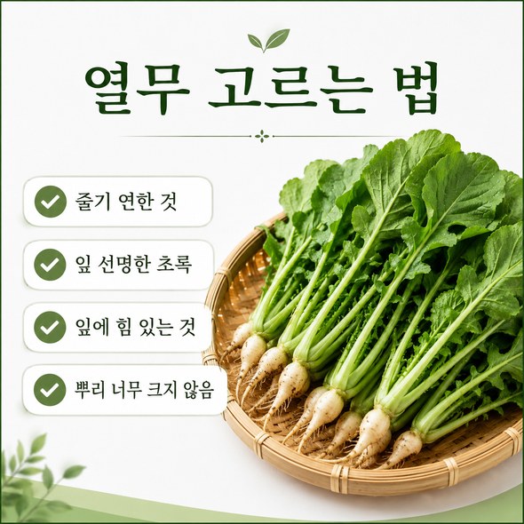 열무김치 맛있게 담그기