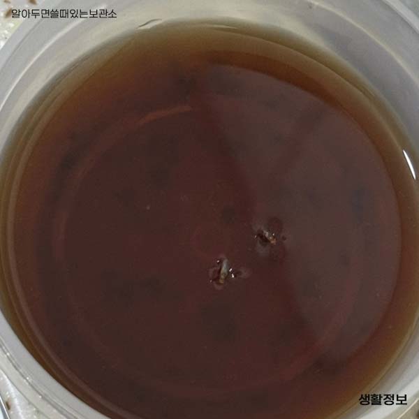 초파리 날파리 제거방법 다이소 리스테린 초파리싹