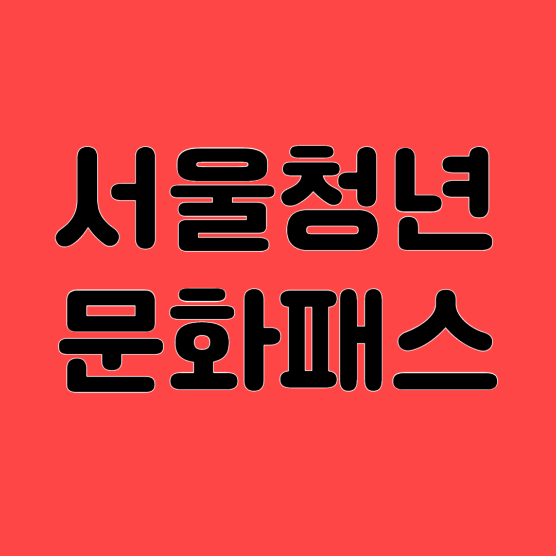서울청년문화패스 지원금