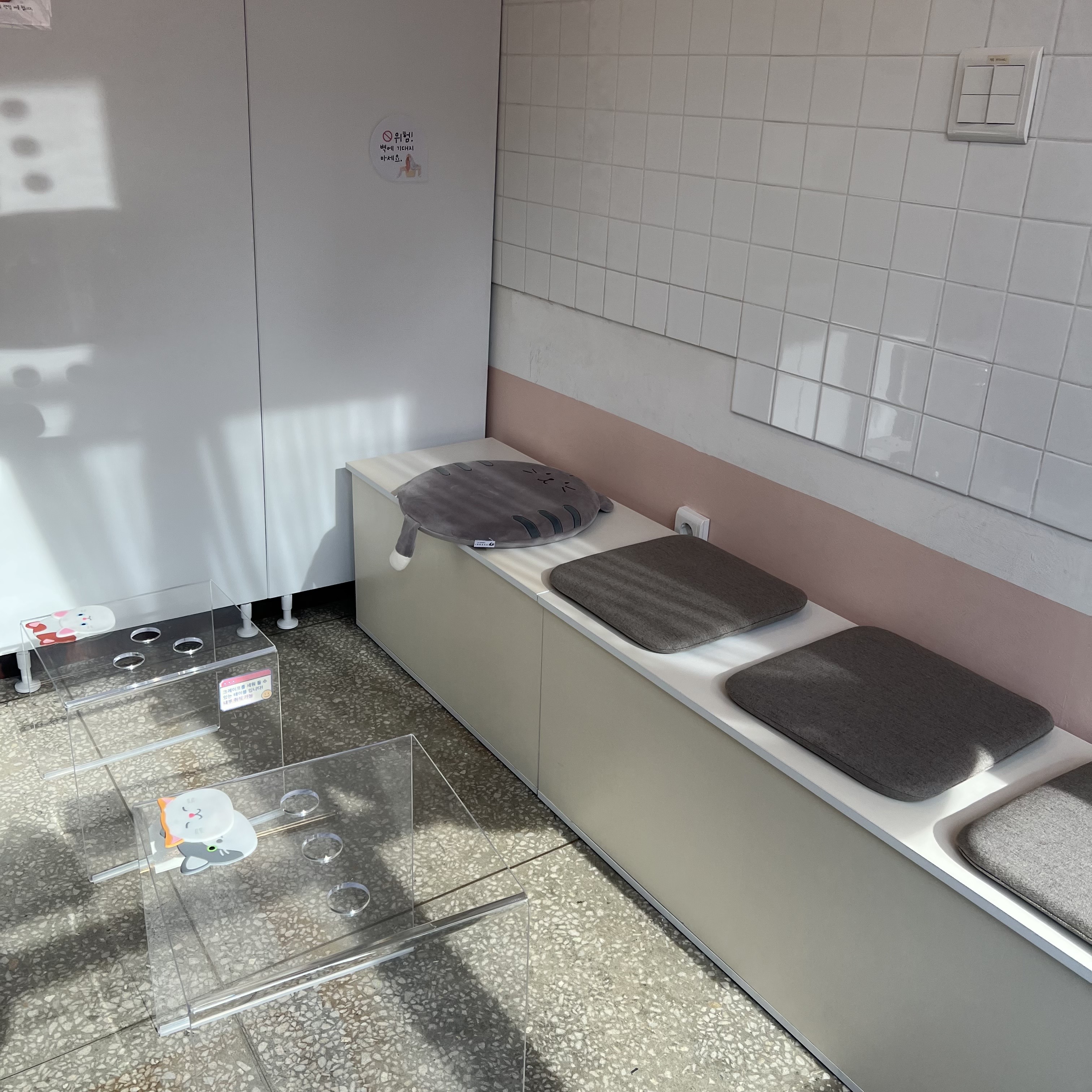 고양이방석-햇빛-따사로운-크레이프테이블