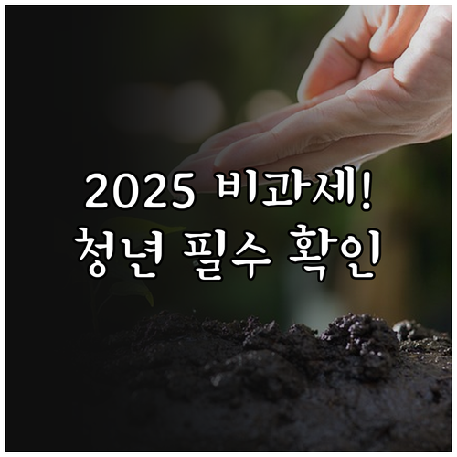 2025 청년도약계좌 정부 기여금 비..
