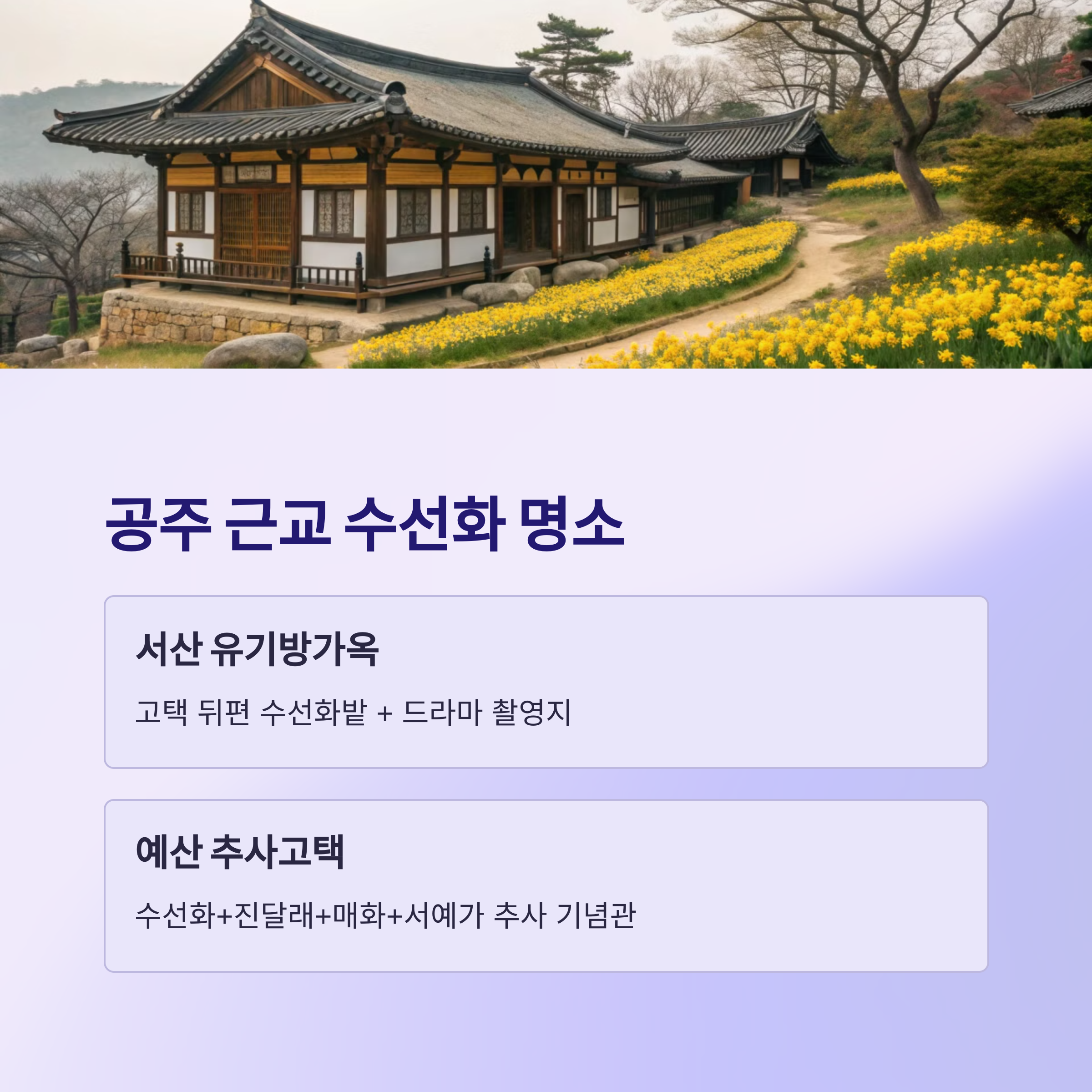 공주 근교 수선화 명소 둘러보기