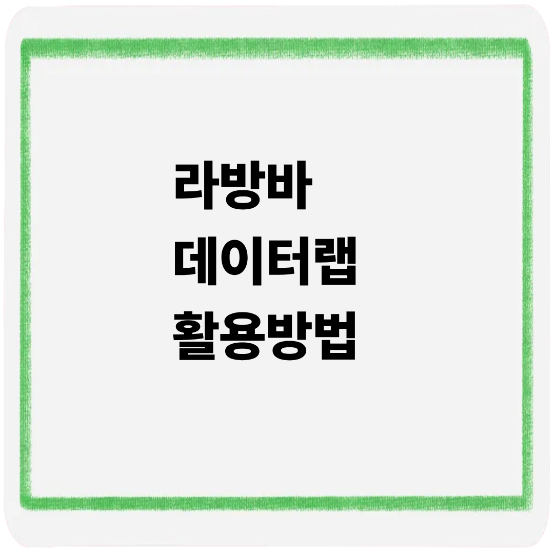 라방바 데이터랩 활용방법