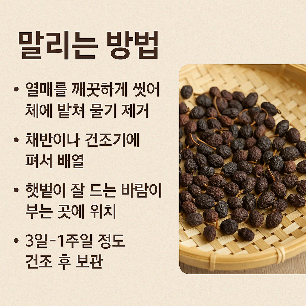 헛개나무열매