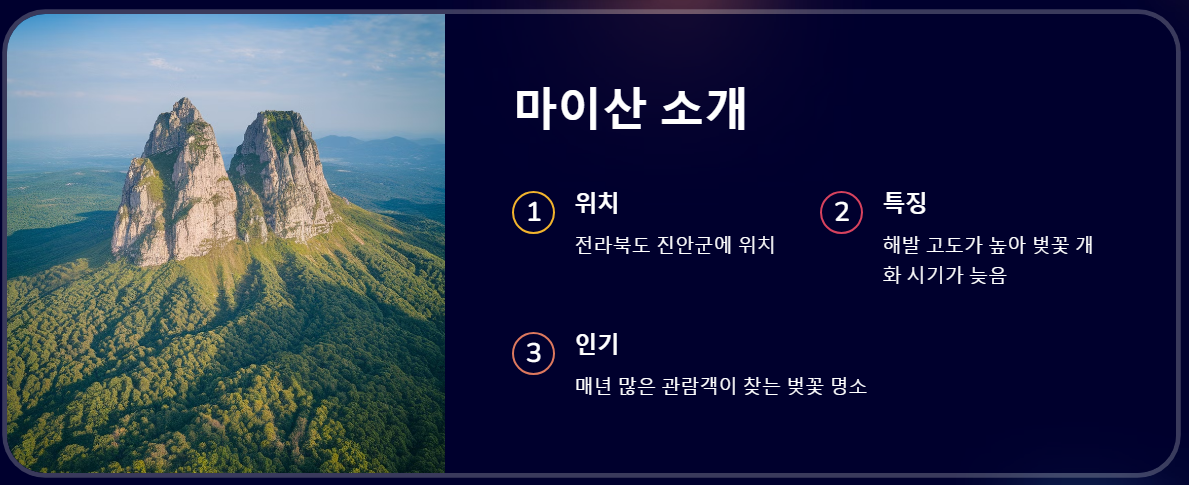 마이산 벚꽃 개화시기 2025