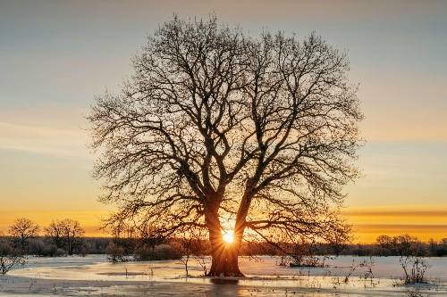 6월9일 루이스 헤이의 긍정확언