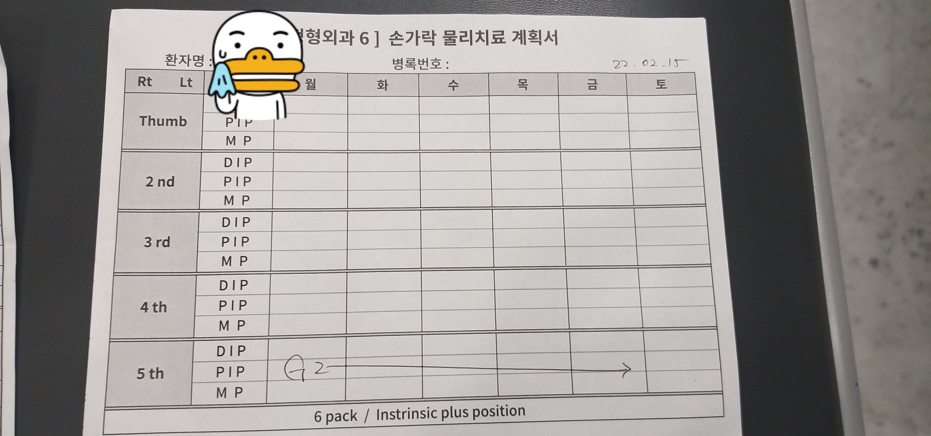 물리치료계획서표사진