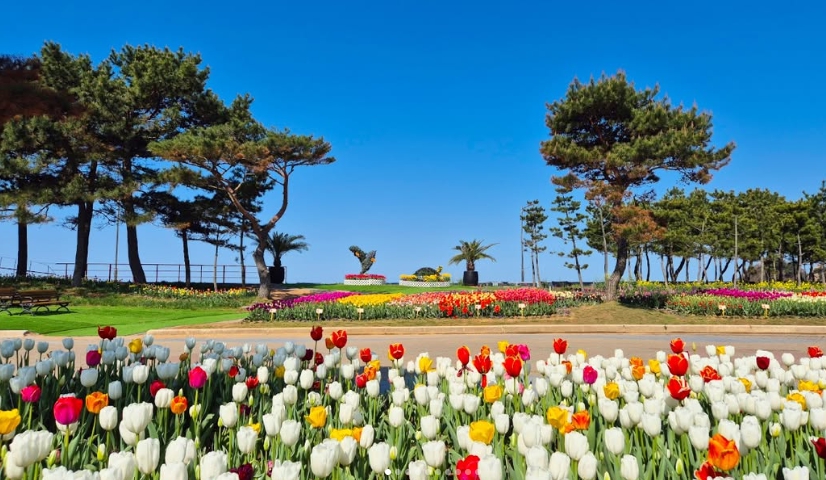 태안 여행지 추천