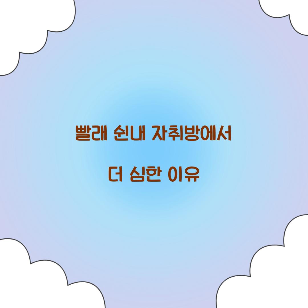 빨래 쉰내 자취방에서 더 심한 이유 