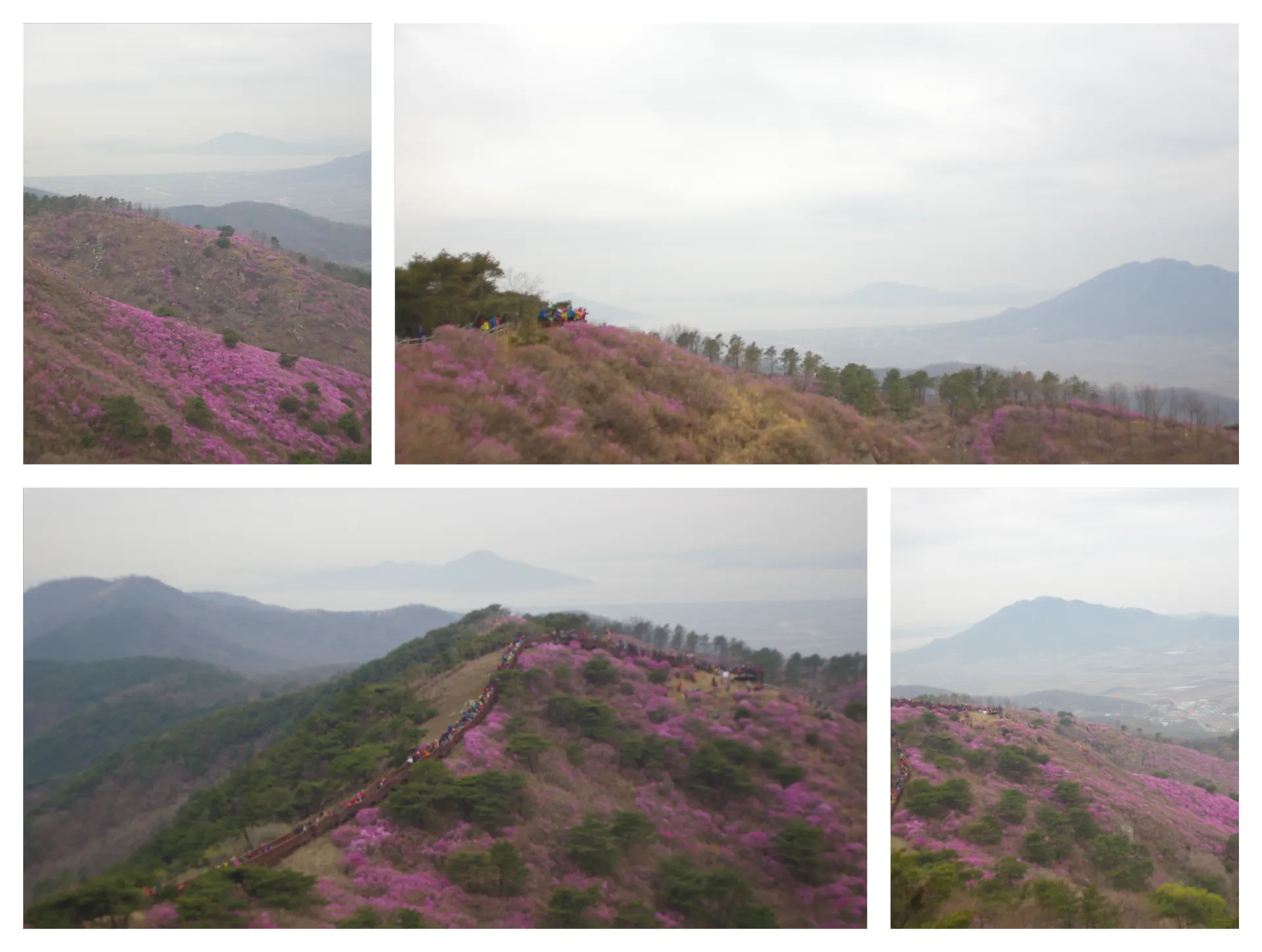 봄 고려산