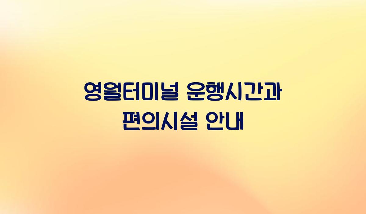 영월터미널 운행시간