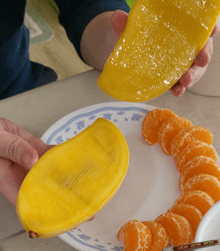 망고 자르는 법