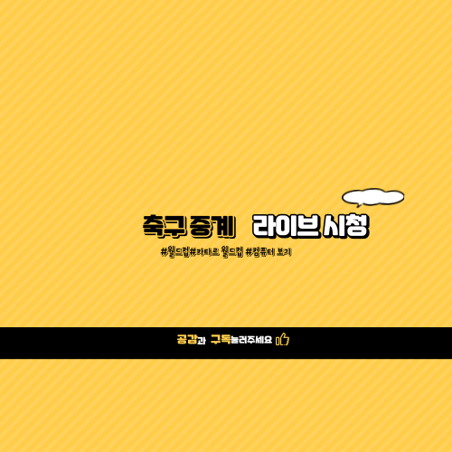 카타르 월드컵 시청