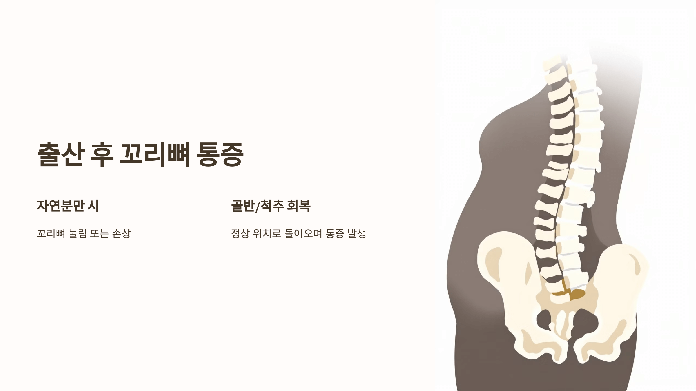 꼬리뼈 사진입니다.