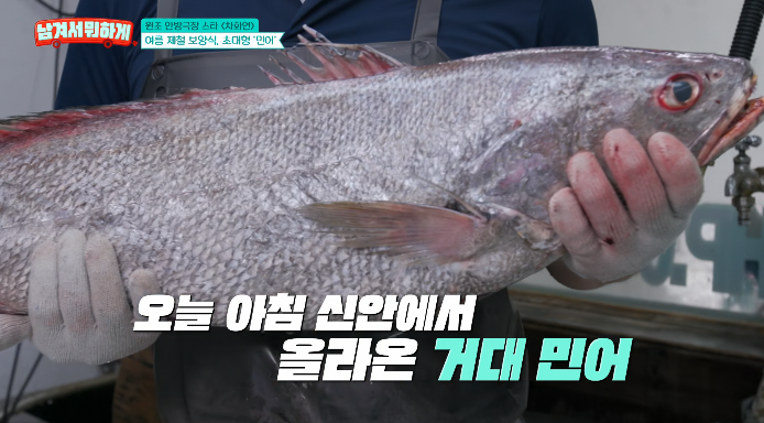 민어