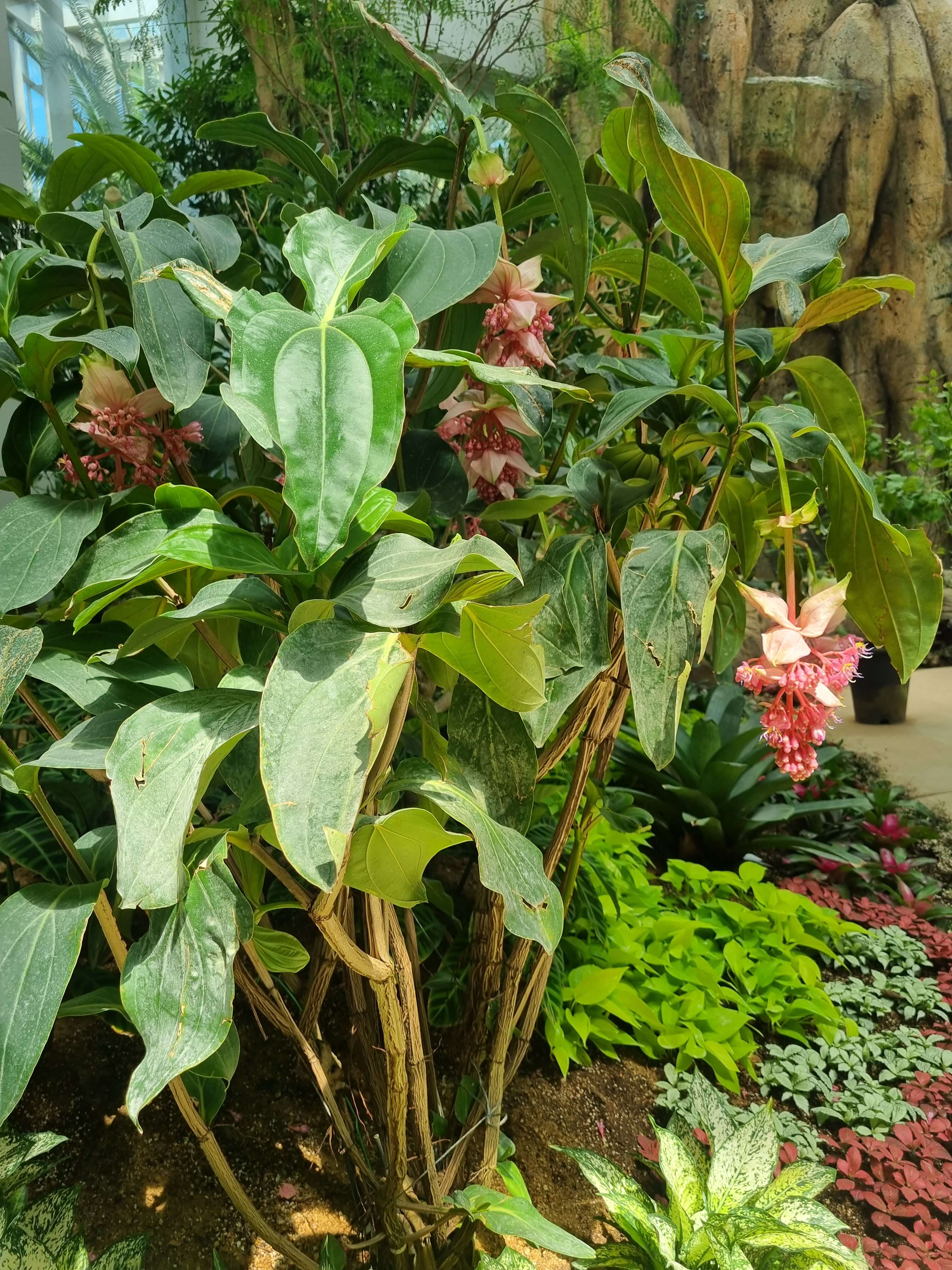 부천 가볼만한 곳 자연생태공원