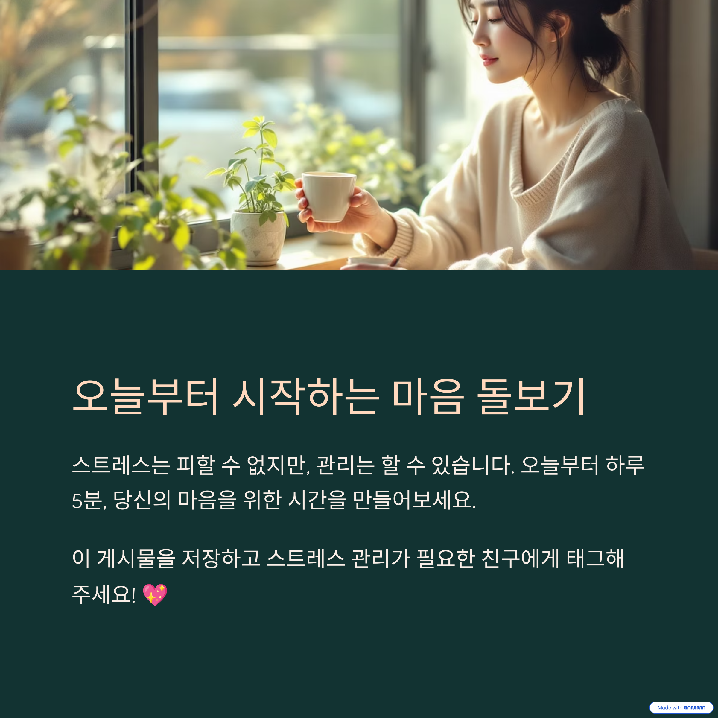 스트레스 관리와 정신 건강 개선법