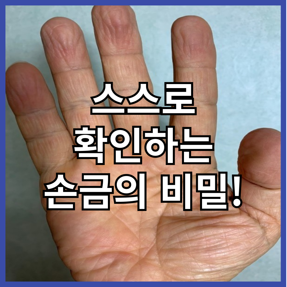 스스로-확인-손금의비밀