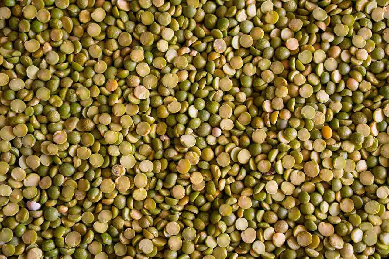 렌틸콩 영양성분&amp;#44; 칼로리&amp;#44; 조리법 정리 &amp;#124; 혈당&amp;#44; 다이어트에 좋은 이유
