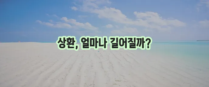 근로복지공단 장애인 의료비 지원금 상환기간
