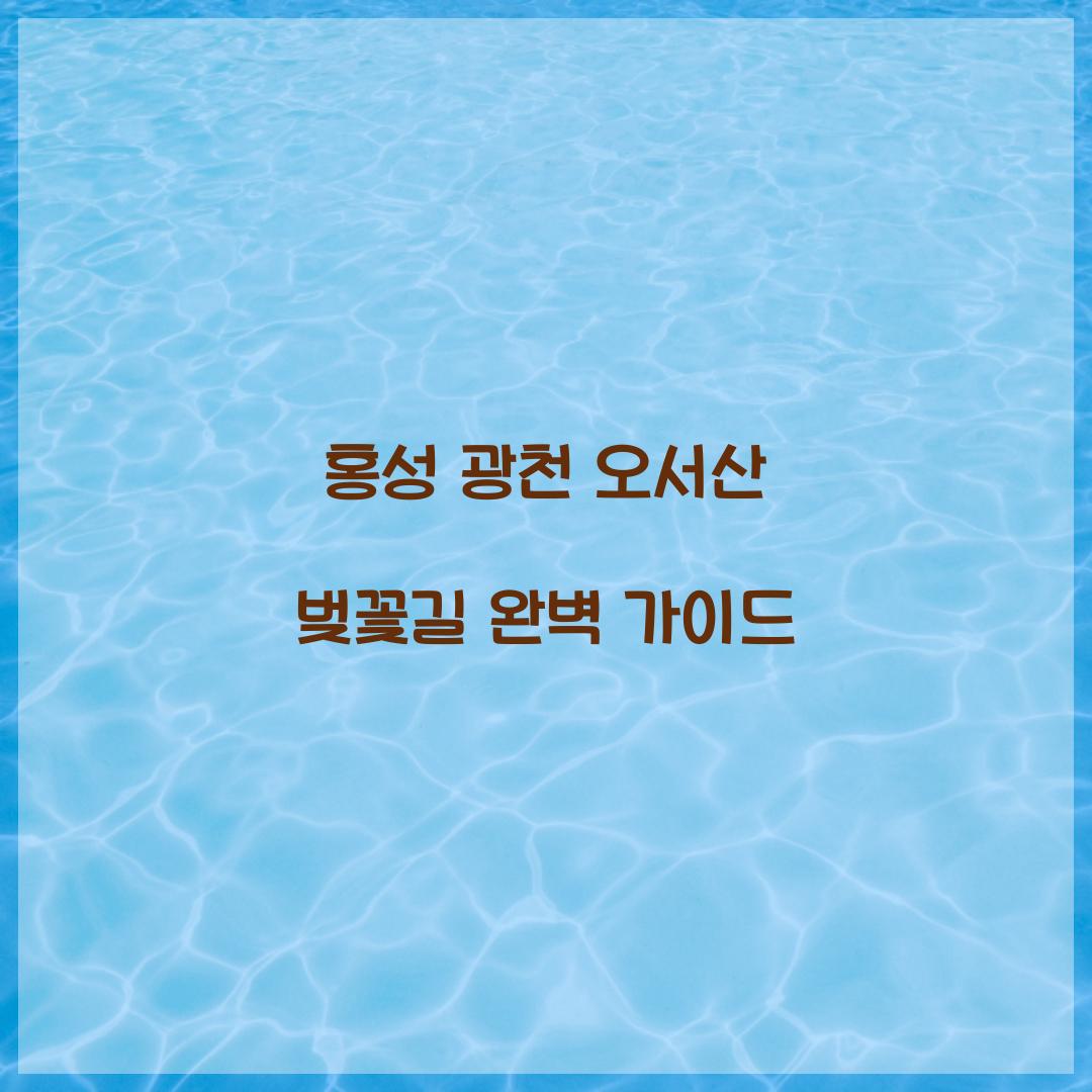 홍성 광천 오서산 벚꽃길