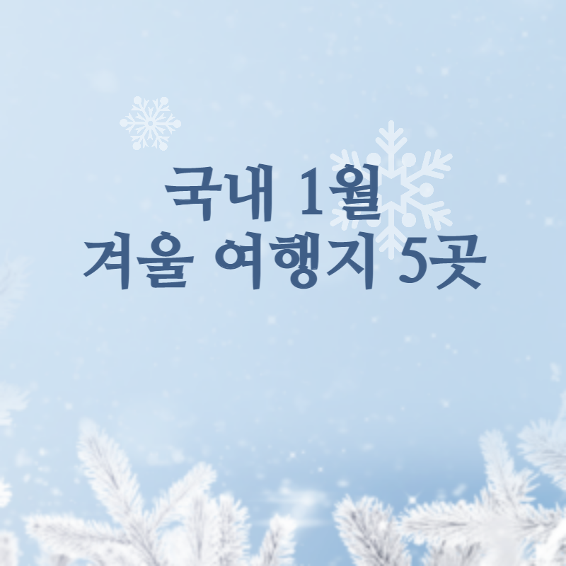 국내 1월 겨울 여행지 5곳 대표사진