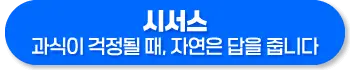 시서스 효능, 다이어트, 복용법