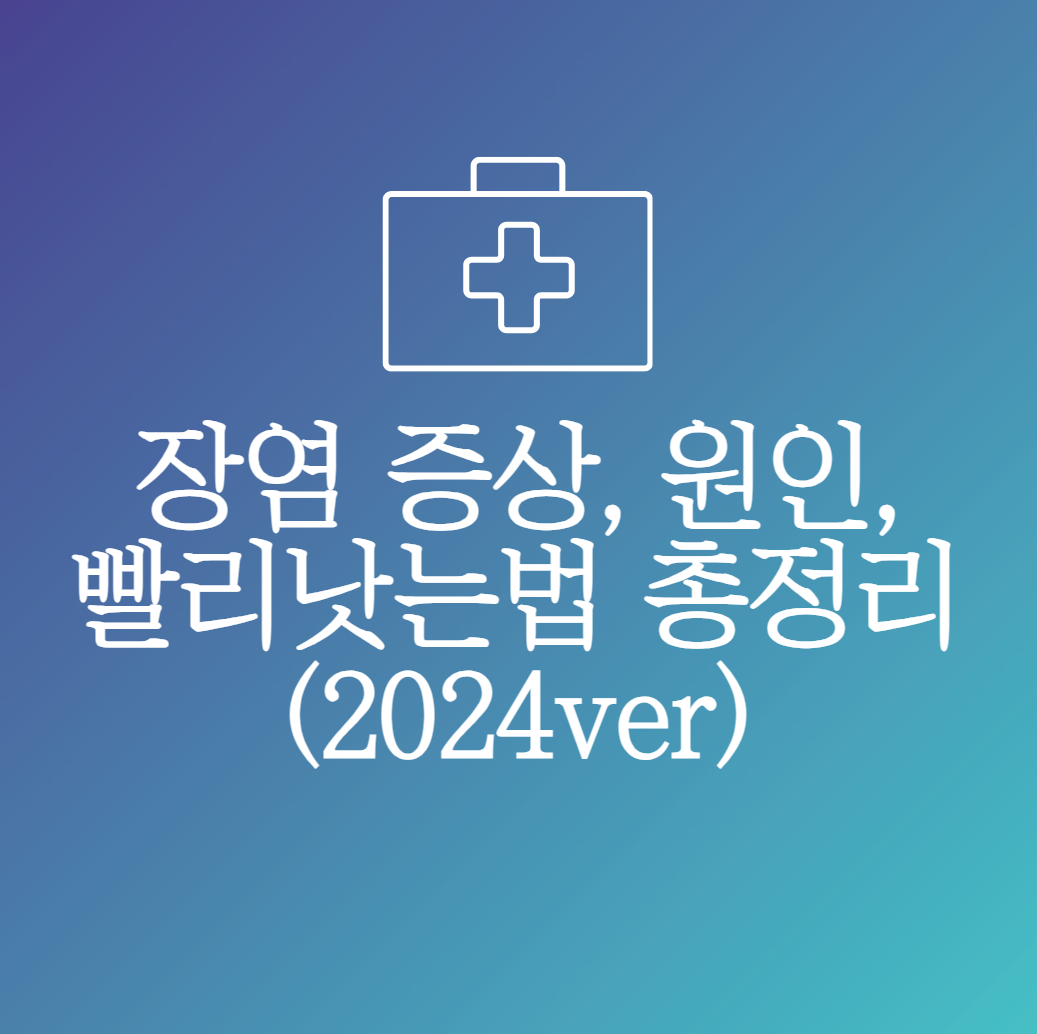 장염 증상, 원인, 빨리낫는법 총정리 (2024ver)
메인 키워드